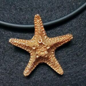 Textura Collar Estrella de Mar Erizzo Joyas collares y pendientes